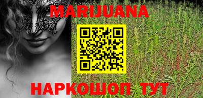 индика Жуковский