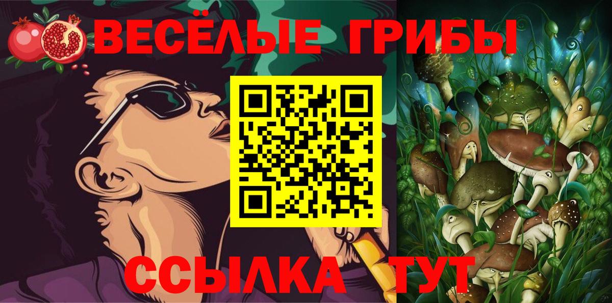 Псилоцибиновые грибы Psilocybe  Вход с VPN  Галлюциногенные грибы MAGIC MUSHROOMS  Лыткарино 