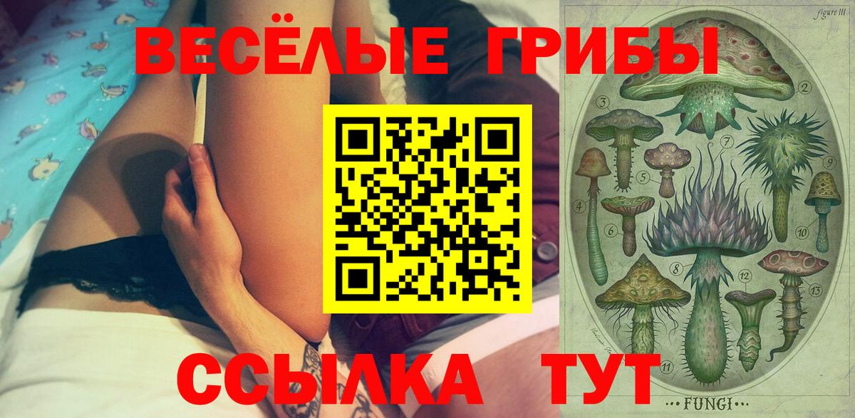 Псилоцибиновые грибы мицелий Лыткарино